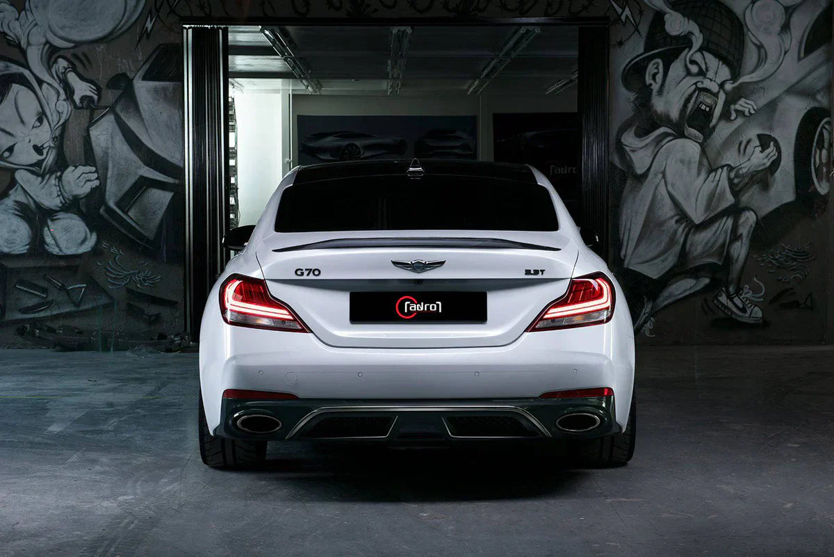 제네시스 G70 카본 스포일러 V1