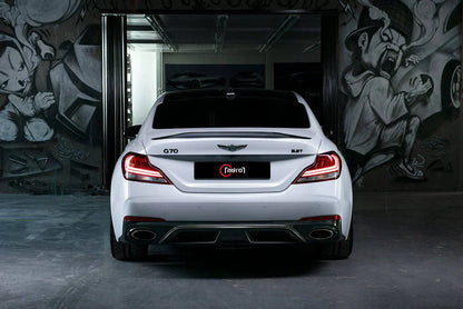 제네시스 G70 카본 스포일러 V1